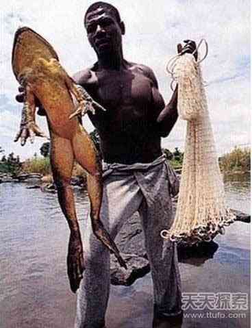 世上真有“成精”动物 99%的人没见过