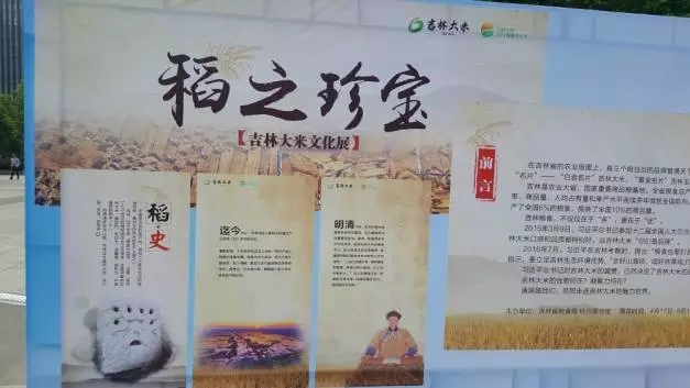 1495750956555633.jpg 45.webp.jpg