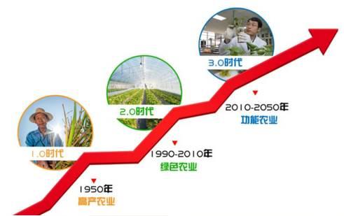 1499421213772720.jpg 2a99000498431017d8a0.jpg