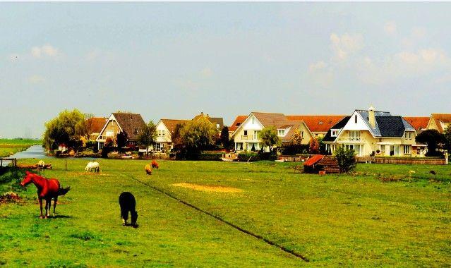 1502023204486123.jpg h2.jpg