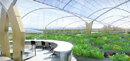 1502023281729691.jpg h6.jpg