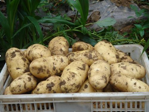 1502023337688930.jpg h9.jpg