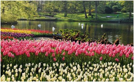 1502023364212885.jpg h11.jpg