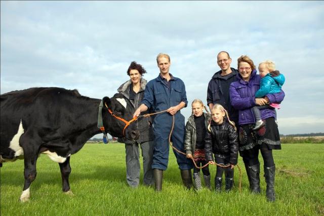 1502023378837611.jpg h12.jpg