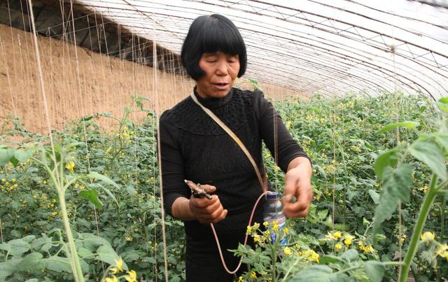 1502024086956424.jpg x4.jpg