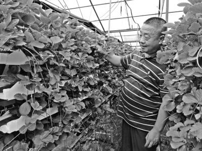 1502109498263655.jpg c1.jpg