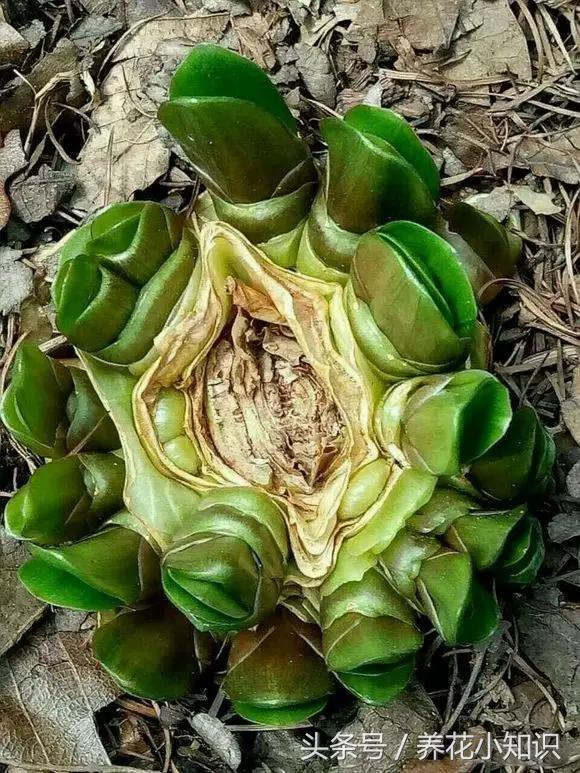 1502461576602883.jpg 000.jpg