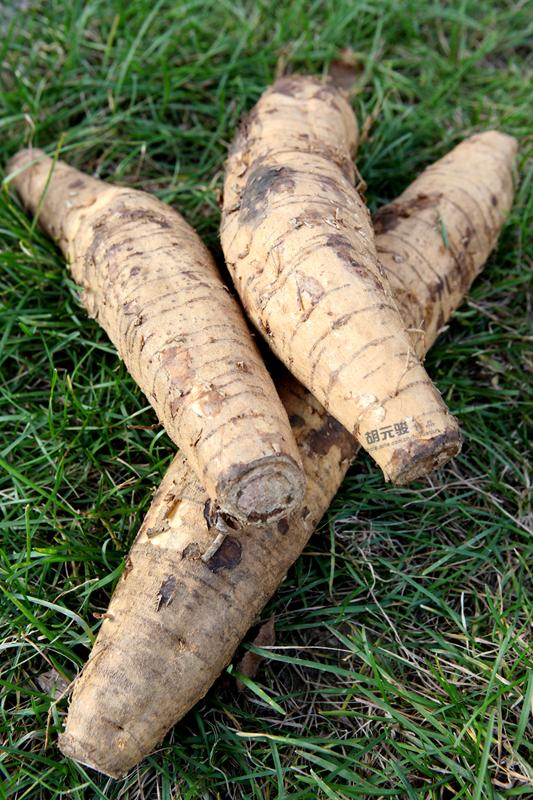 1502965641919755.jpg 01.jpg