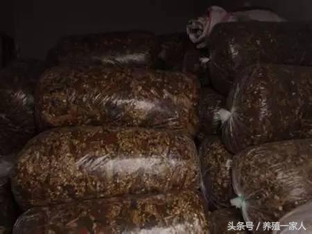 1503382779108039.jpg 62.jpg