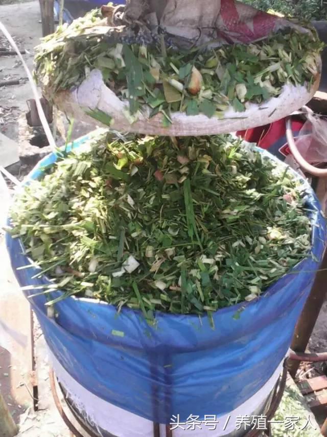 1503382808548035.jpg 63.jpg