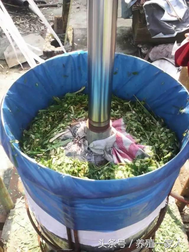 1503382821332538.jpg 64.jpg