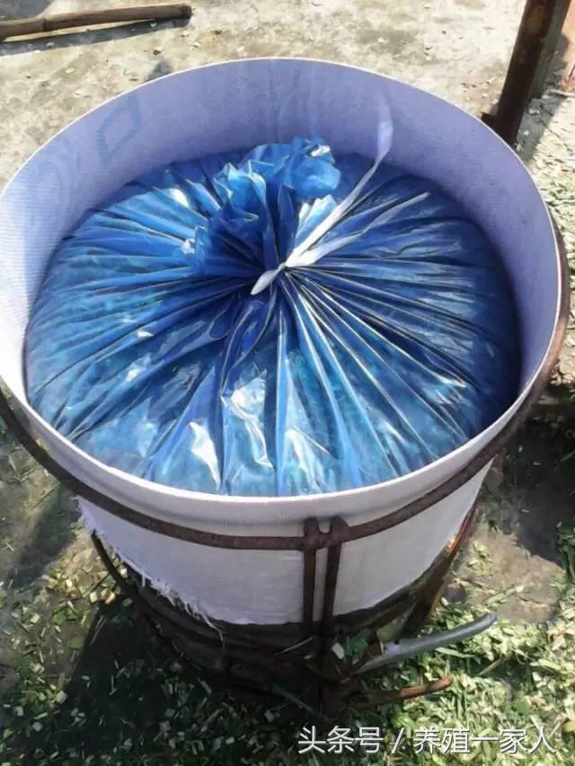 1503382833337325.jpg 65.jpg