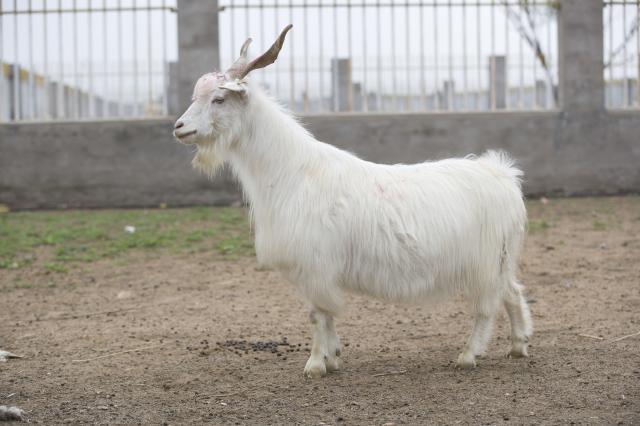 1503398709841064.jpg 5.jpg