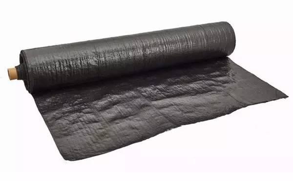 1503739093917317.jpg 21.jpg