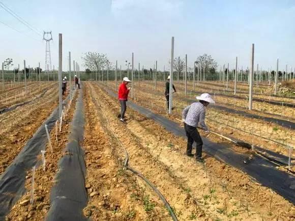 1503739225191428.jpg 28.jpg