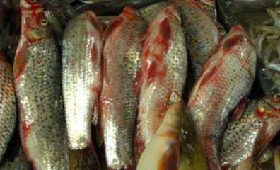 1504437755189275.jpg 13.jpg