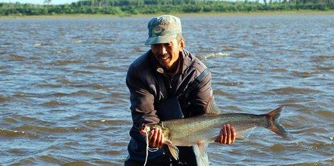 1504437769804043.jpg 14.jpg